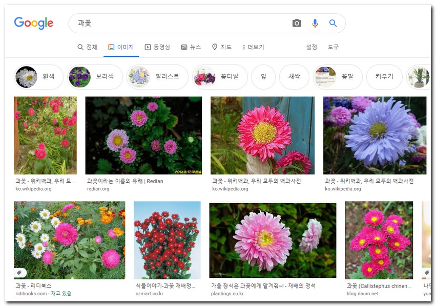 꽃 사진 검색 꽃종류 100가지 구글 꽃검색 하는법 - IT Opening