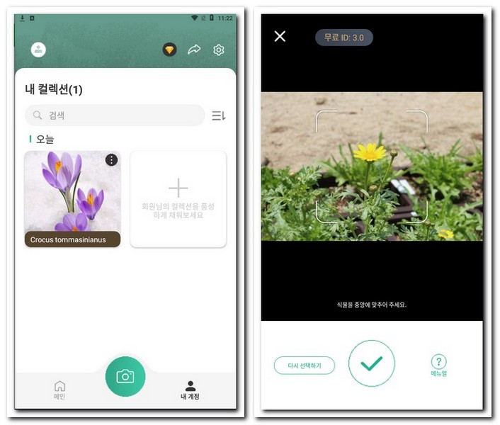 식물 꽃 화초찾기어플